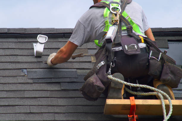 Best Gutter Installation and Roofing  in Camp Point, IL