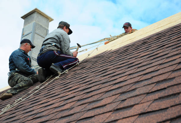 Best New Roof Installation  in Camp Point, IL